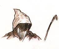 Click the photo to see bigger image